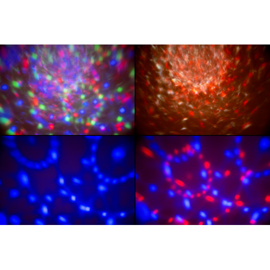 Showlite MEL-4 multiefektové světlo