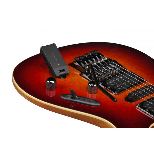 Ibanez WS1