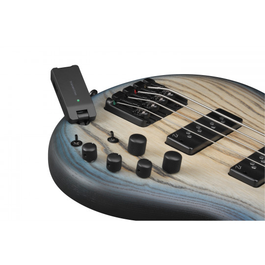 Ibanez WS1