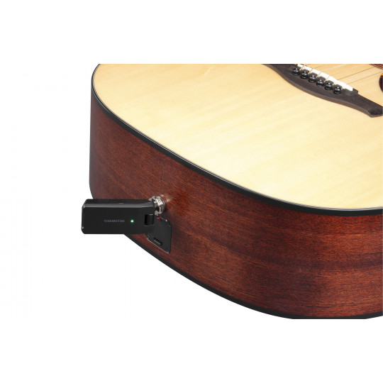 Ibanez WS1