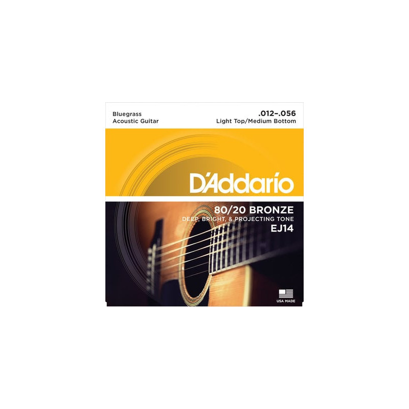 D'Addario EJ14