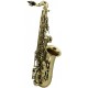 Es-Alt saxofon pro děti Roy Benson AS-201 AS-201