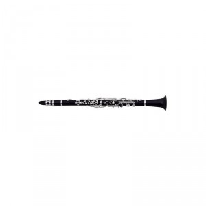 Bb-klarinet pro děti Roy Benson CG-521 CG-521