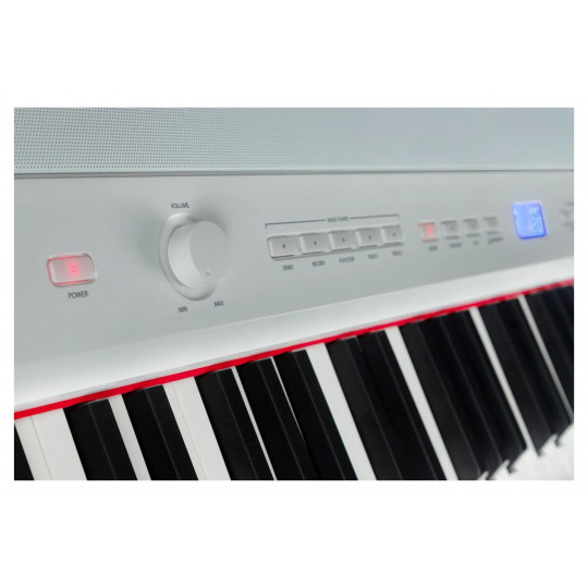 Steinmayer P-60 WM