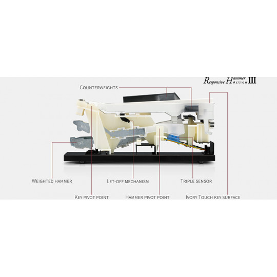 Kawai CN301 B