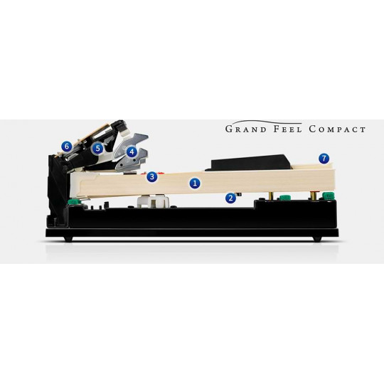 Kawai CA401 W