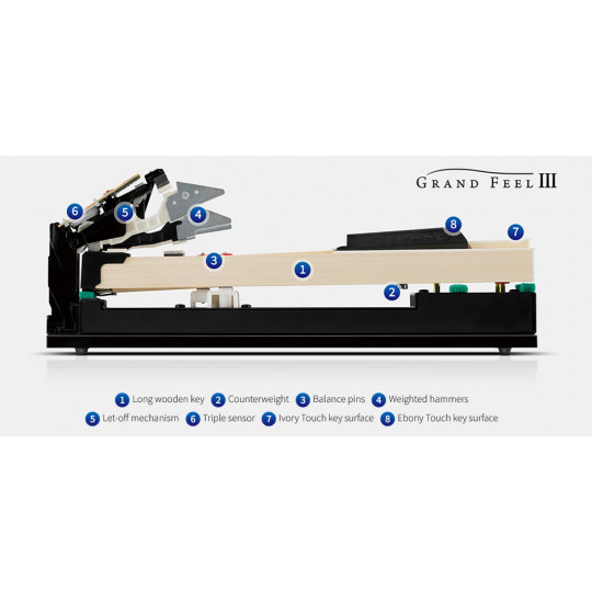 Kawai CA701 B