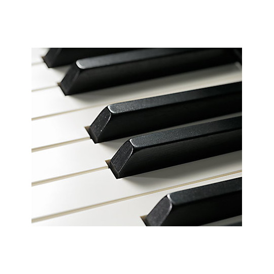 Kawai CA701 R