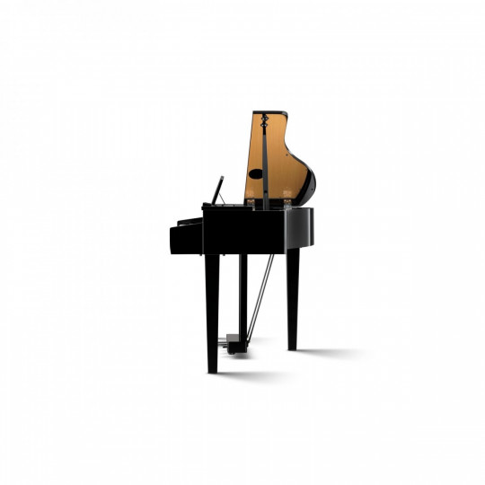 Kawai DG30