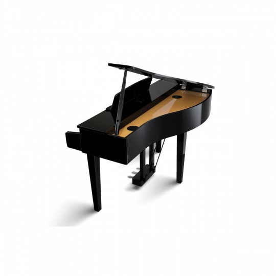 Kawai DG30