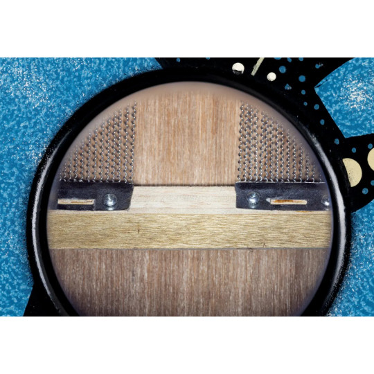 Proline Design Series Cajon Gecko