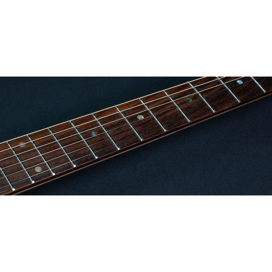 Shergold Telstar Standard ST14 Champagne Gold