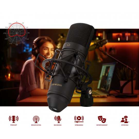 Pronomic USB-M 2000 BK