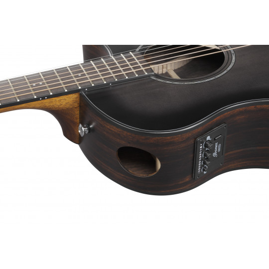 Ibanez AAM70CE-TBN
