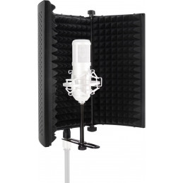 Pronomic MP-80F