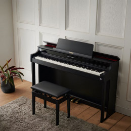 Casio AP-550 BK