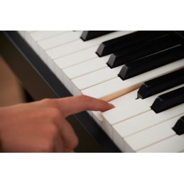 Casio AP-550 WE