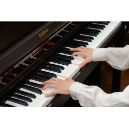 Casio AP-550 WE