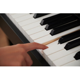Casio AP-750 BK