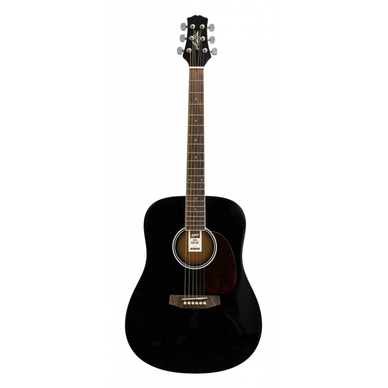 Ashton D20 BK - kytara dreadnought Ashton D20 BK - kytara dreadnought