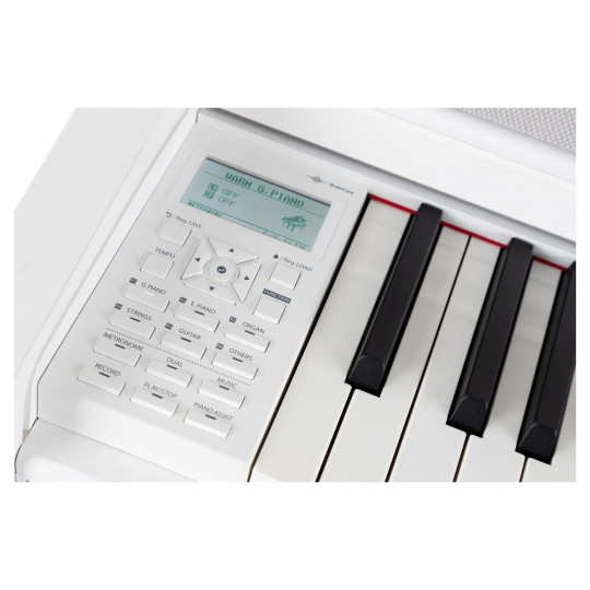 Steinmayer DP-361 WM digitální piano matná bílá