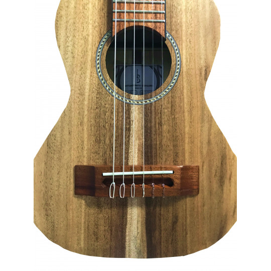 APC GS Guitarlele Simples