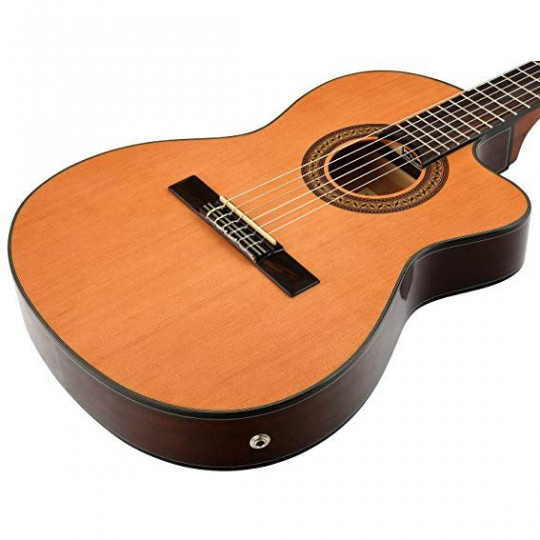 Ibanez GA 5TCE AM
