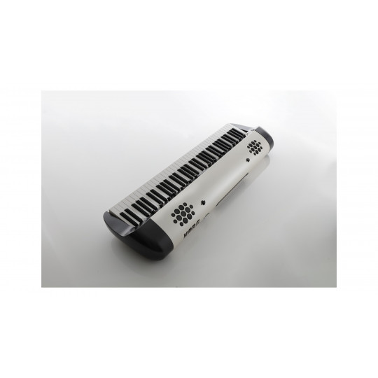Korg SV2-73S