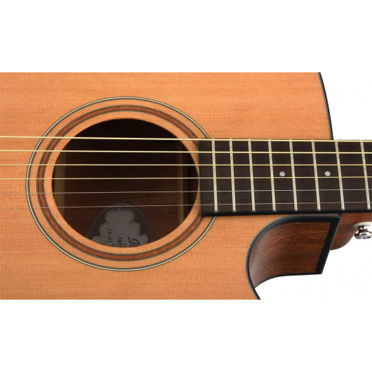 Ibanez AW65ECE-LG