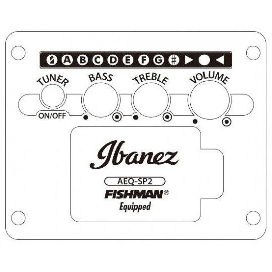 Ibanez AEWC400-TKS