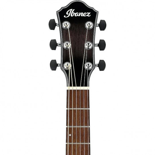 Ibanez AEWC400-TKS