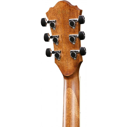 Ibanez AE245-NT