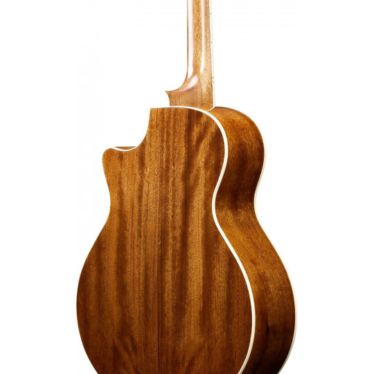 Ibanez AE245-NT
