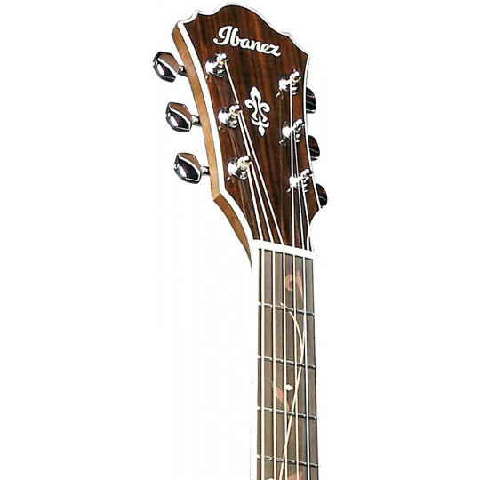 Ibanez AE245-NT