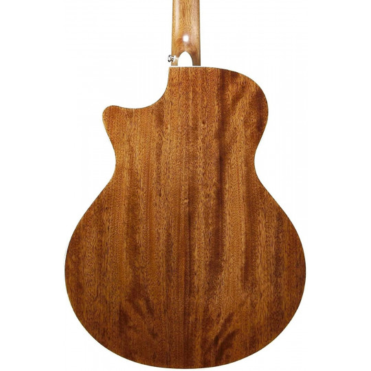 Ibanez AE245-NT