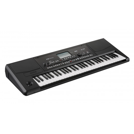 Korg Pa300