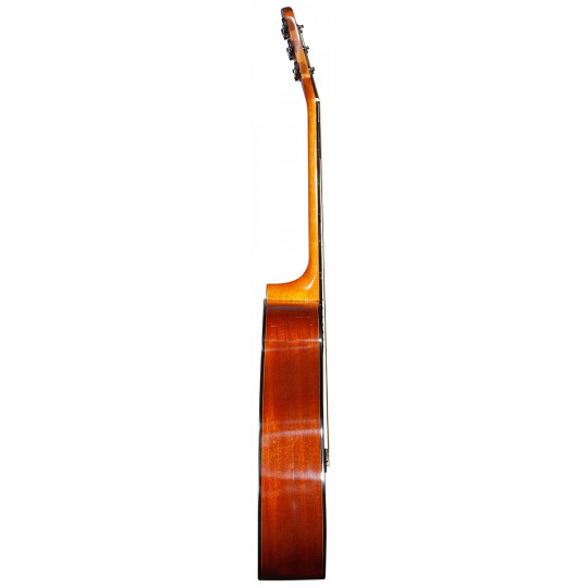Brunswick Dreadnought Mahogany Gloss