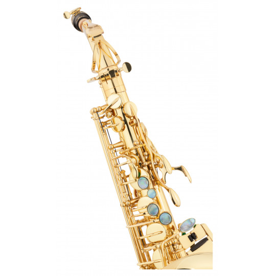 Lechgold LAS-20L alt saxofon lakovaný