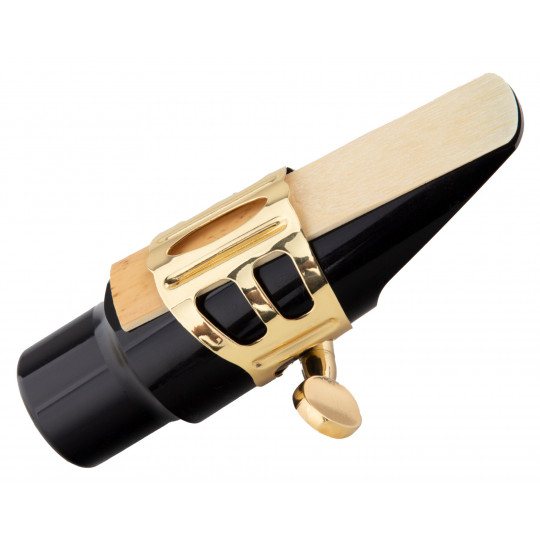 Lechgold LAS-20L alt saxofon lakovaný