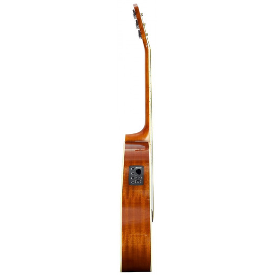 Brunswick Dreadnought kytara Natural s EQ