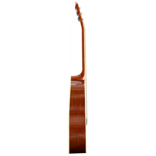 Brunswick Dreadnought kytara Natural LH