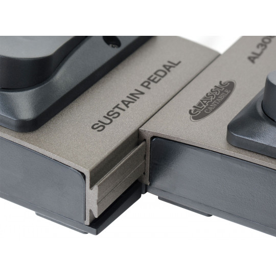 PROLINE Sustain pedal