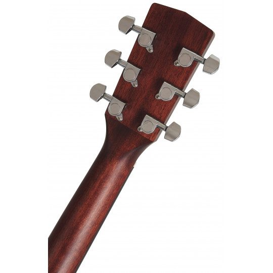 Cort EARTH 70 BR