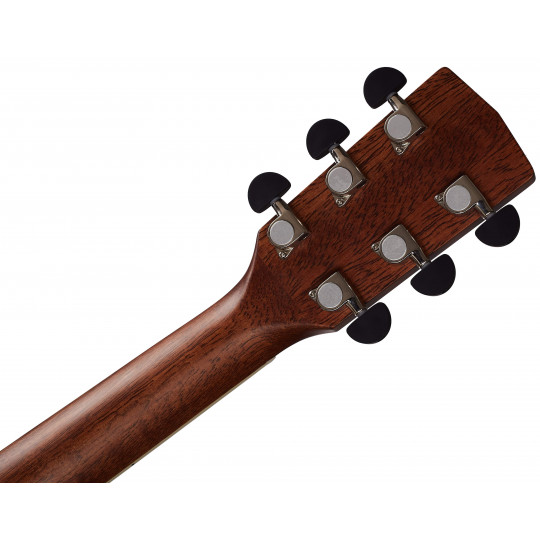 Cort Earth 100 NS