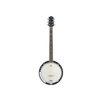 Pro banjo