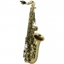 Es-Alt saxofon pro děti Roy Benson AS-201 AS-201