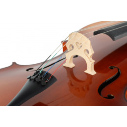 Proline čelo set 4/4 - student