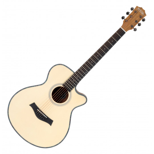 Rocktile WSC-100C NT